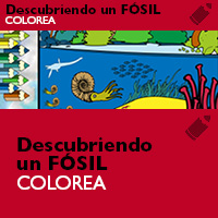 Colorea la película "Descubriendo un fósil"