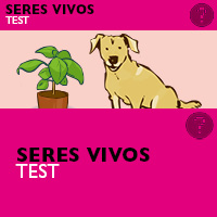 Test seres vivos